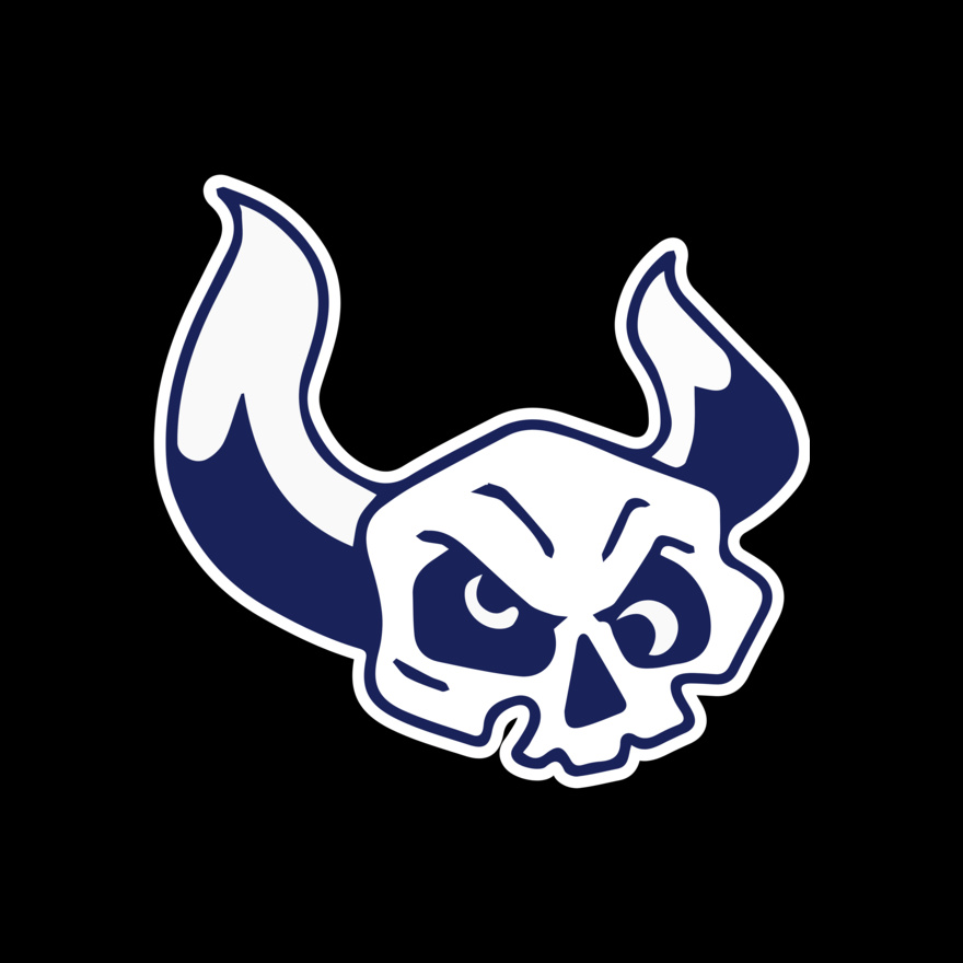 Elements Skulls logo template 38 Thumbnail