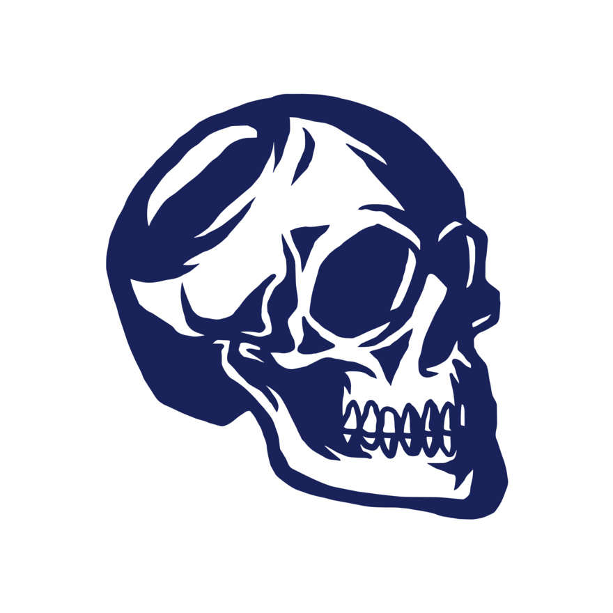 Elements Skulls logo template 139 Thumbnail