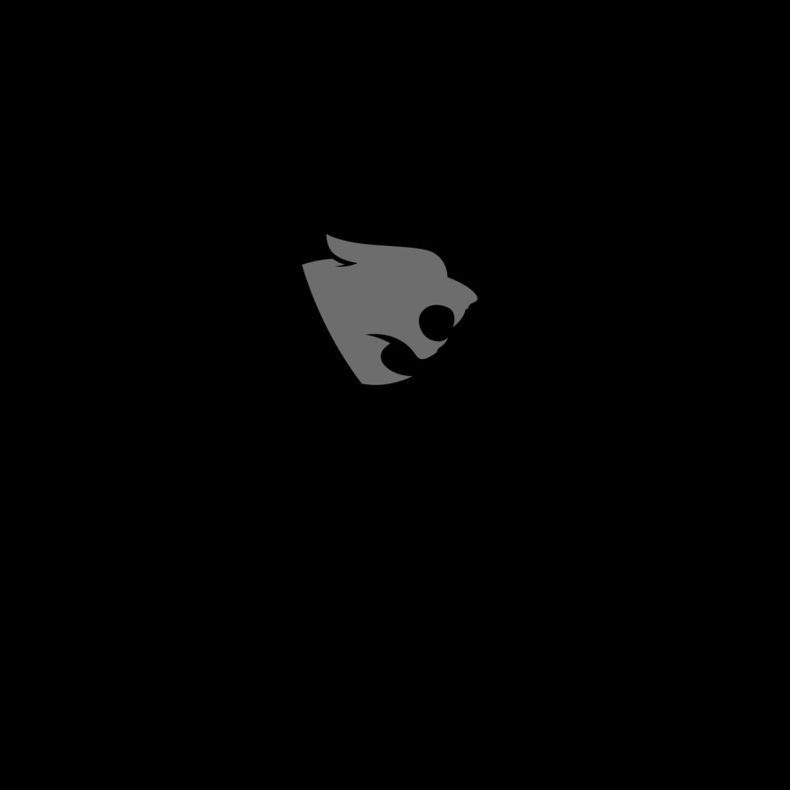 Panthers Track & Field team 02 Thumbnail