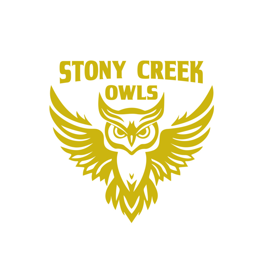 School Owls 04 Thumbnail