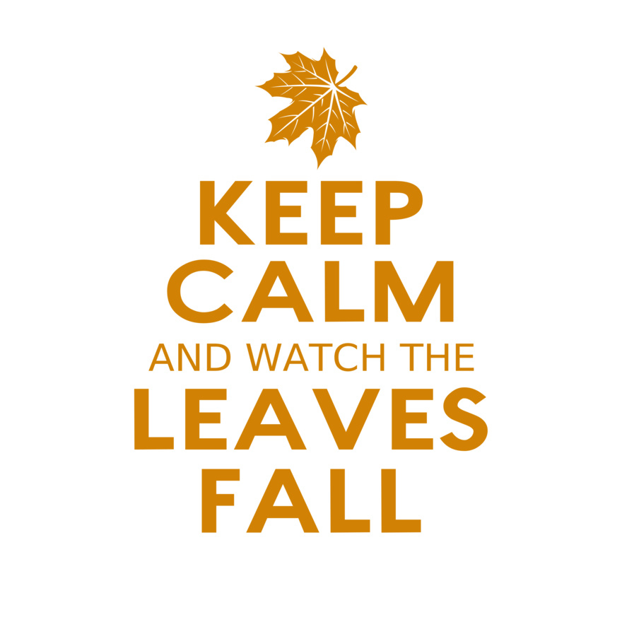 Fall Season 04 Thumbnail