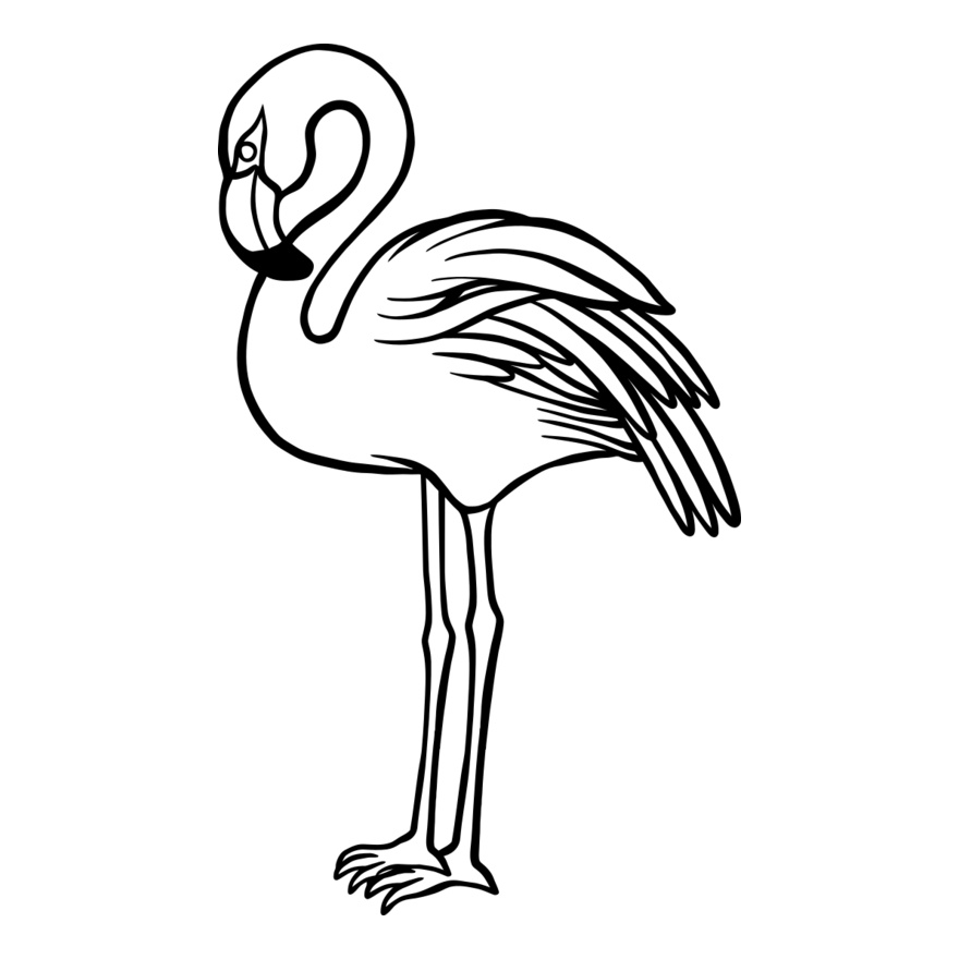Flamingo   Clipart 1 Thumbnail