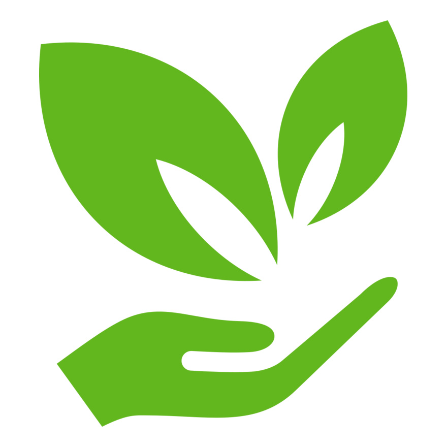 51 Leaves in hands Thumbnail