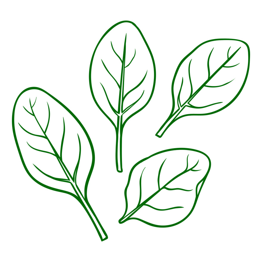 Spinach Thumbnail