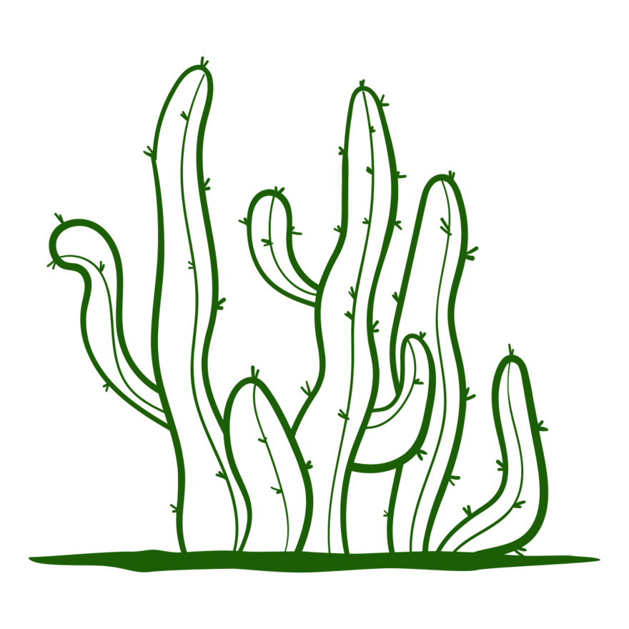 Cactus 2 Thumbnail