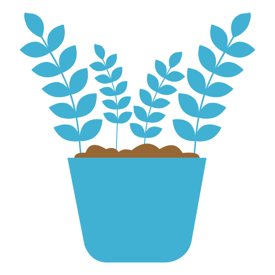 Plant 5 Thumbnail