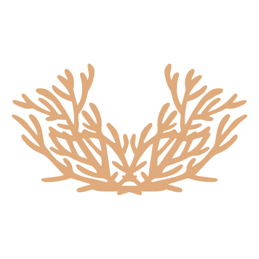 Sea Plants Thumbnail