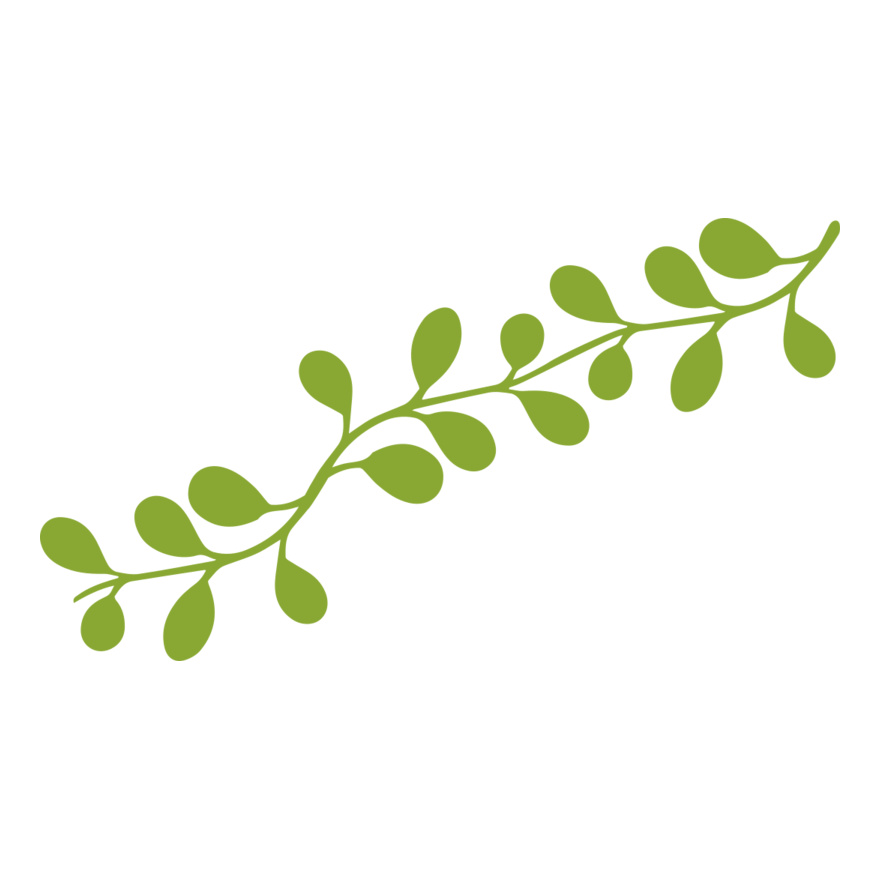 Leaves 13 Thumbnail