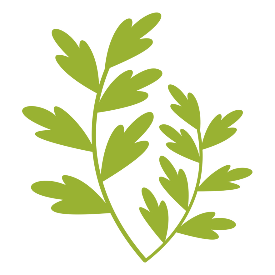 Leaves 11 Thumbnail