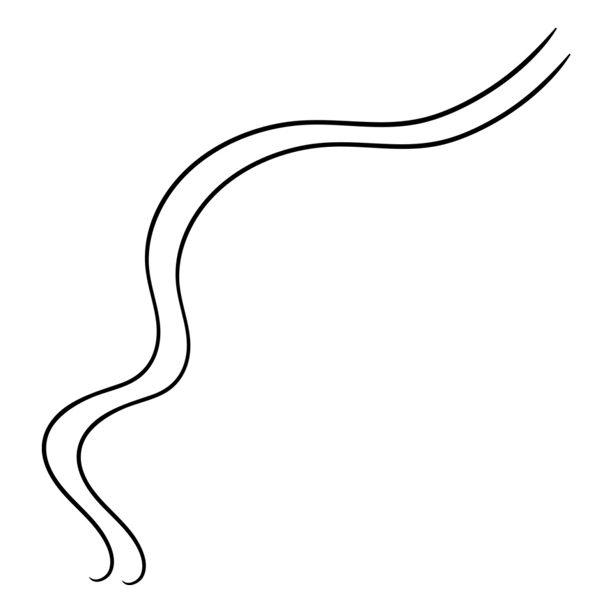 Abstract Curved Line Thumbnail