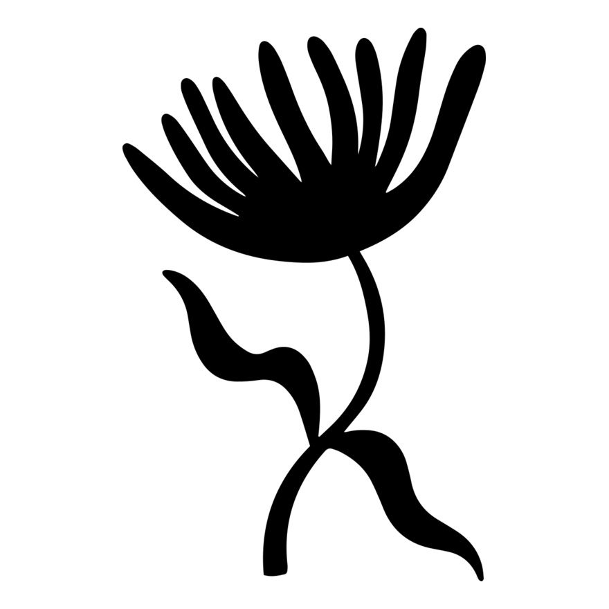 Dandelion Seed Head Thumbnail