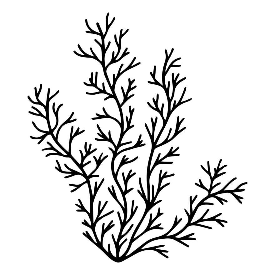 Herb Sprig Thumbnail