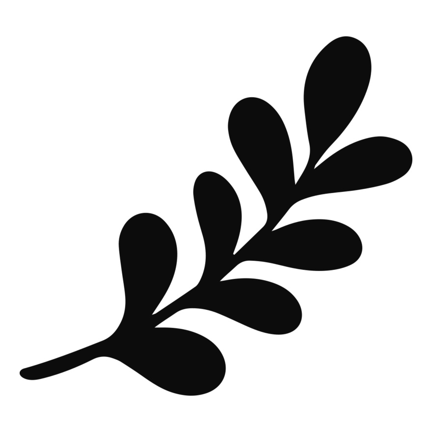 Leaf Stem Branch Thumbnail