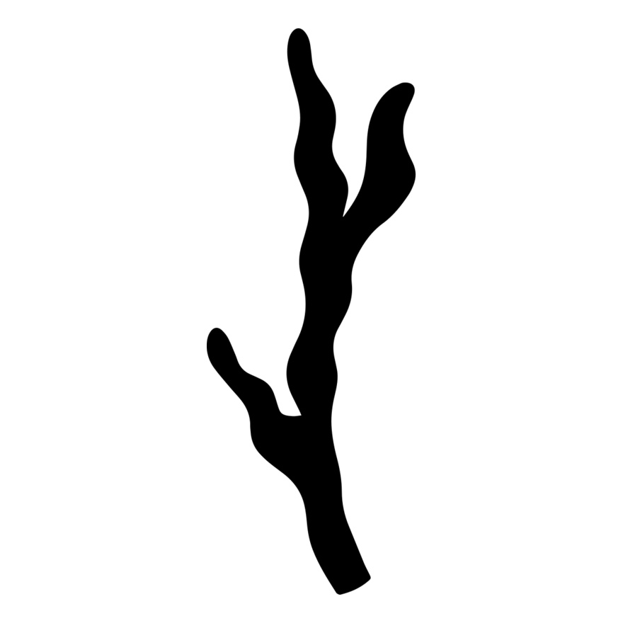 Twig Branch Thumbnail