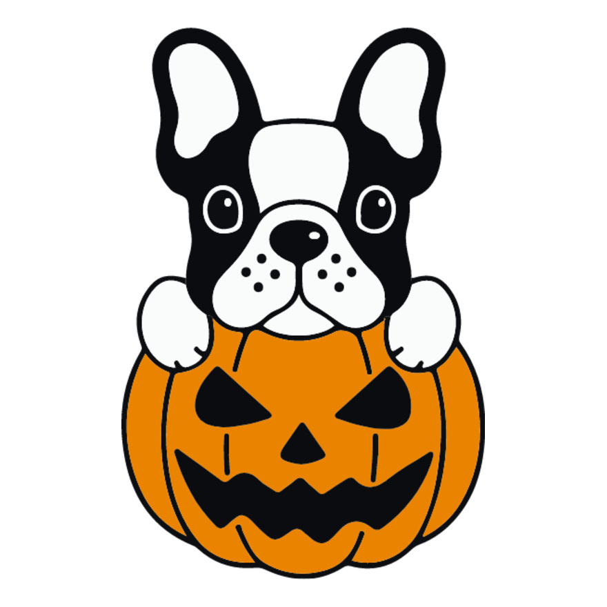 Pumpkin Frenchie (0895) Thumbnail