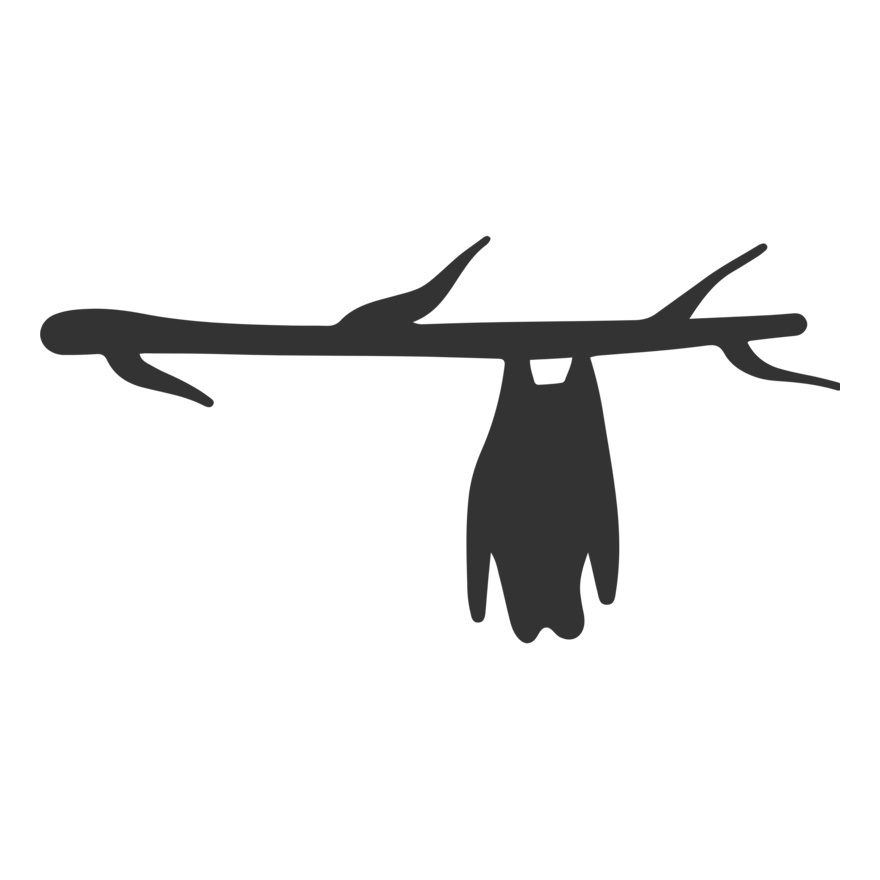 Bat on Branch (0864) Thumbnail