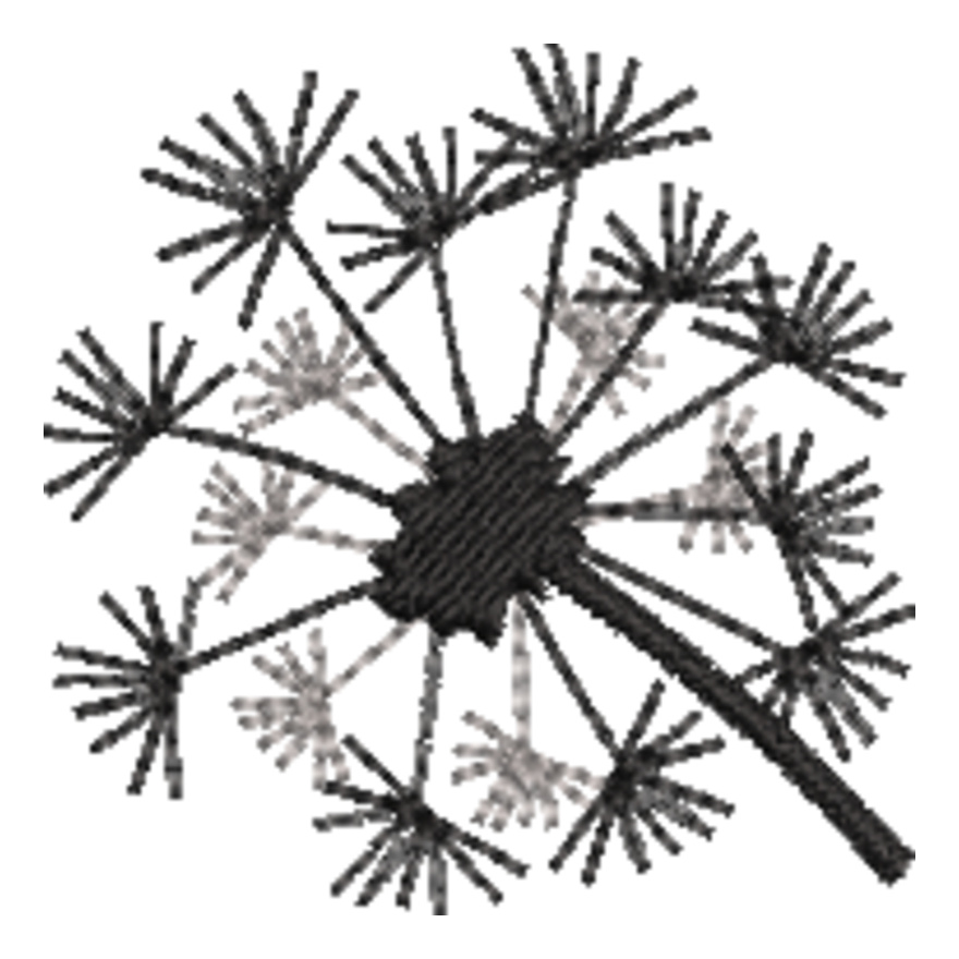 Dandelion (0335) Thumbnail