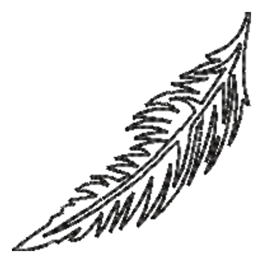 Feather Line Art (0334) Thumbnail