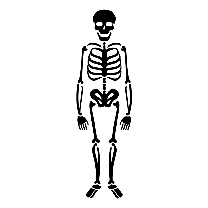 Skeleton 8 Thumbnail