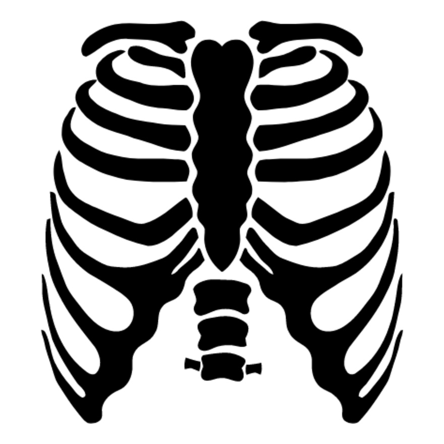 Rib cage 2 Thumbnail