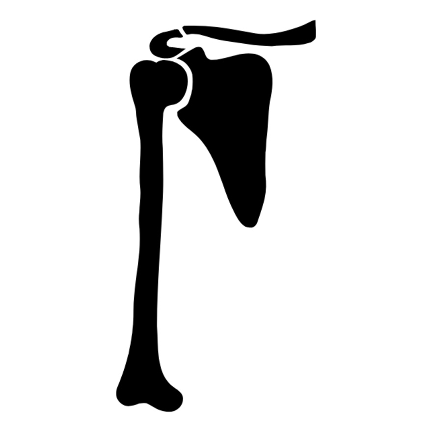 right humorous Thumbnail