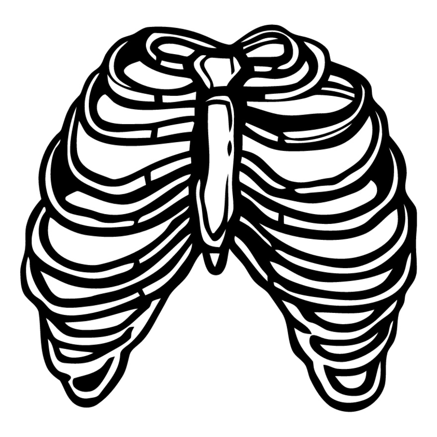 Rib cage 3 Thumbnail