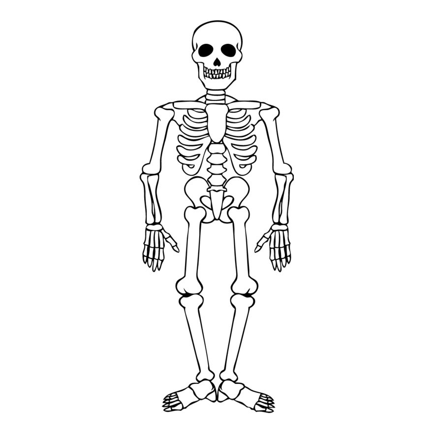 Skeleton 5 Thumbnail
