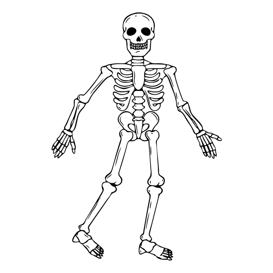 Skeleton 3 Thumbnail