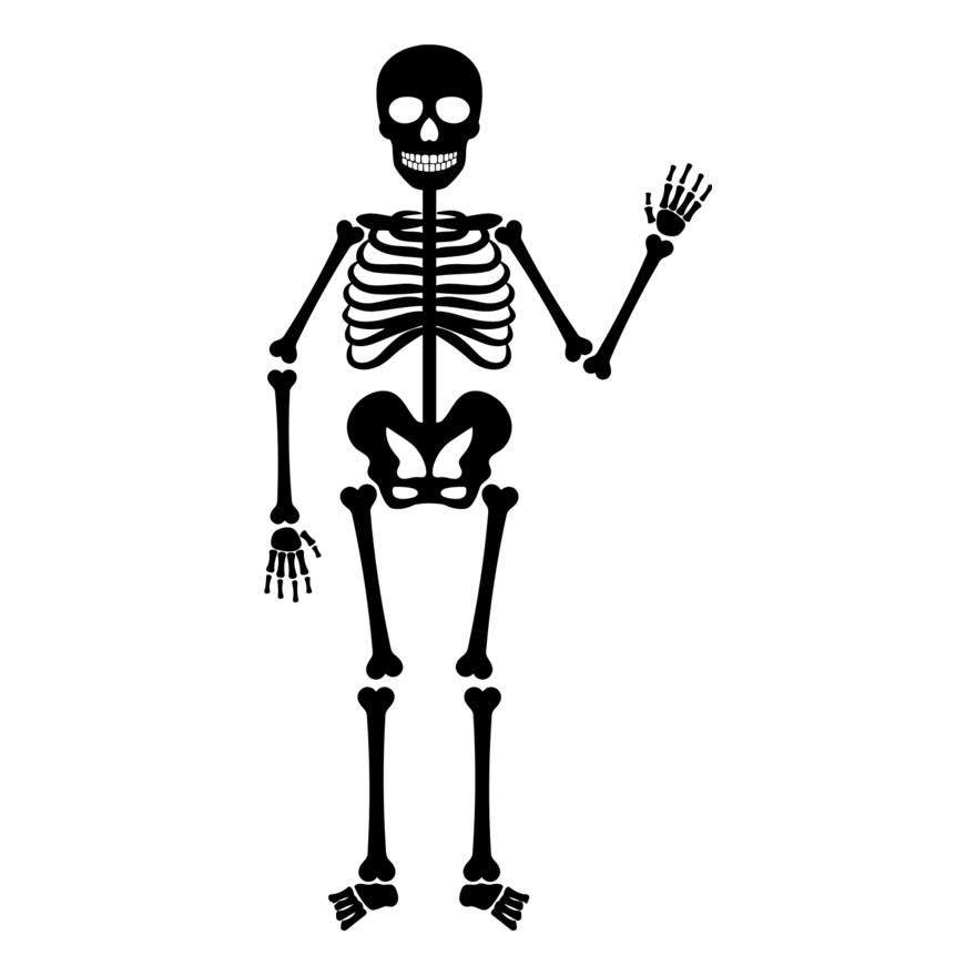 Skeleton 6 Thumbnail
