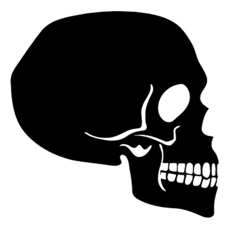 Skull looking right Thumbnail