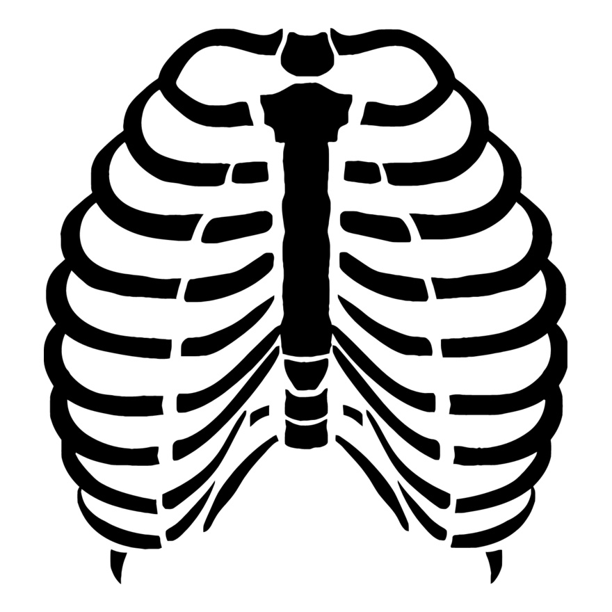Rib cage 4 Thumbnail