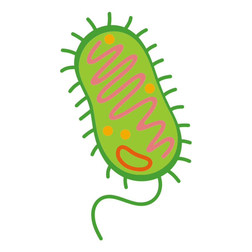 Bacteria Cell Thumbnail