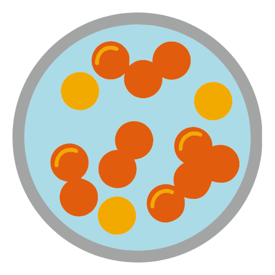 Petri Dish Orange Thumbnail