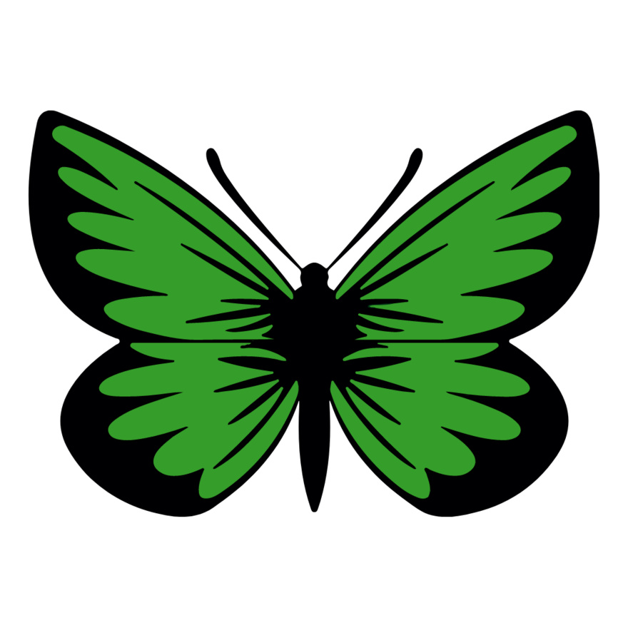 Green Butterfly Thumbnail