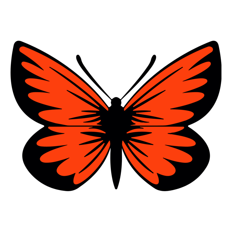 Orange Butterfly Thumbnail