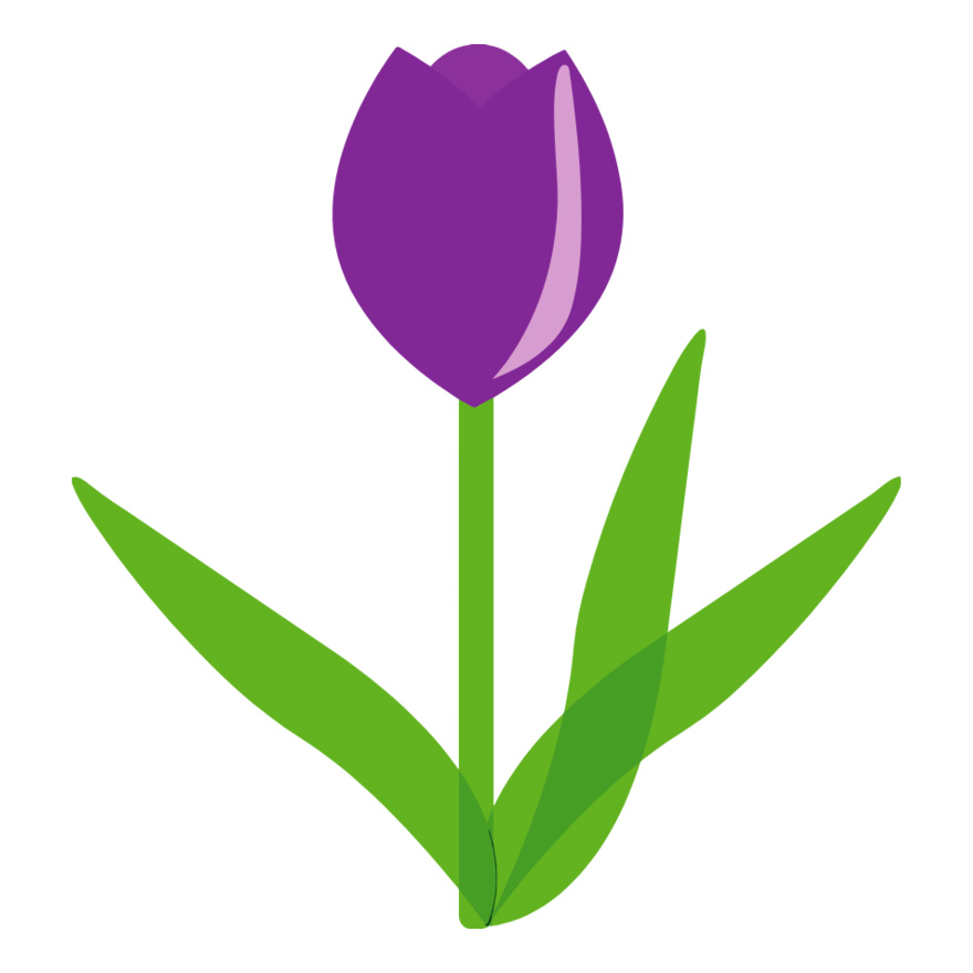 Tulip Flower Thumbnail