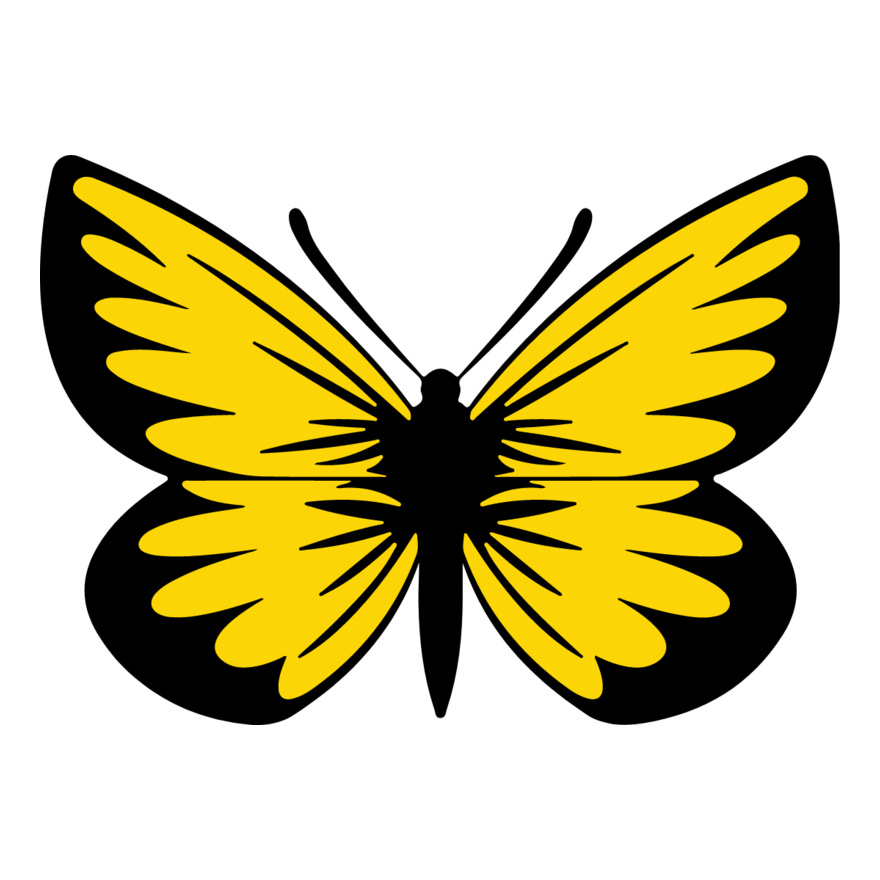 Yellow Butterfly Thumbnail