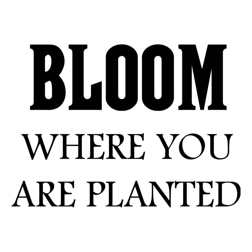 Bloom Where Thumbnail