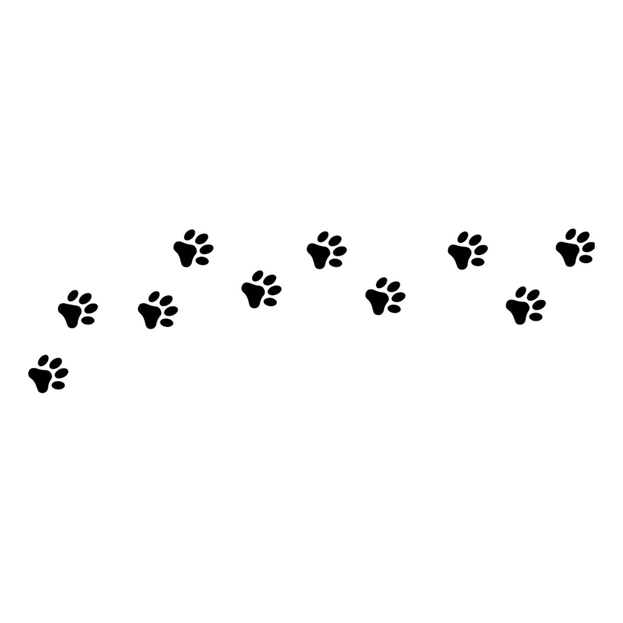 Dog Paw Thumbnail
