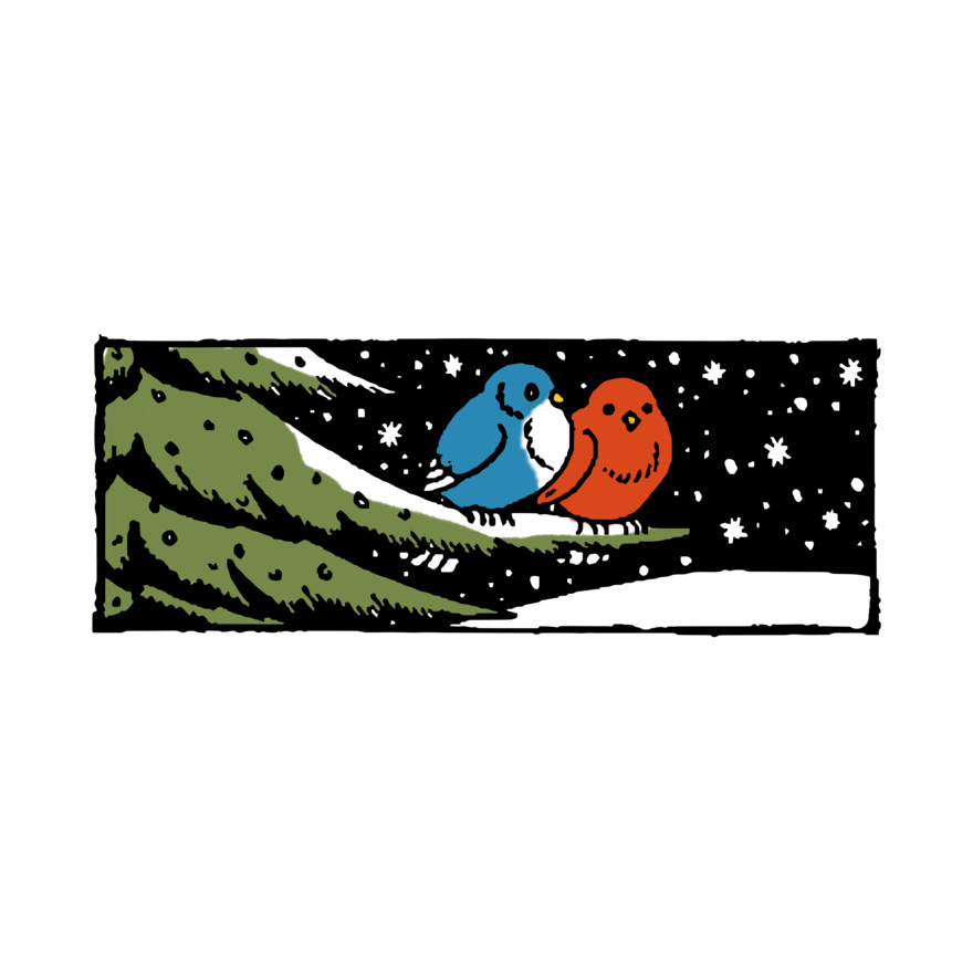 Cozy Winter Birds Thumbnail