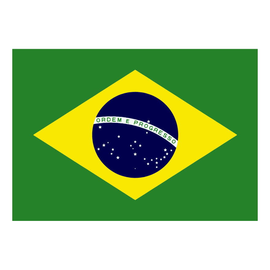 Brazil Flag Thumbnail