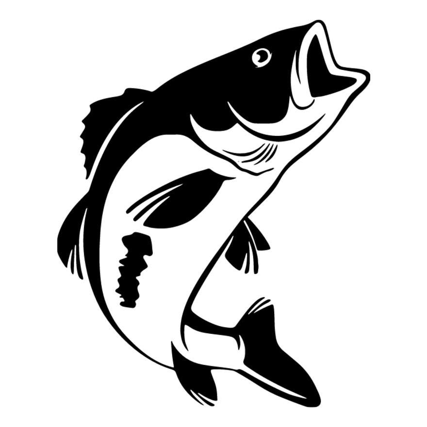 Plain Bass Fish Thumbnail