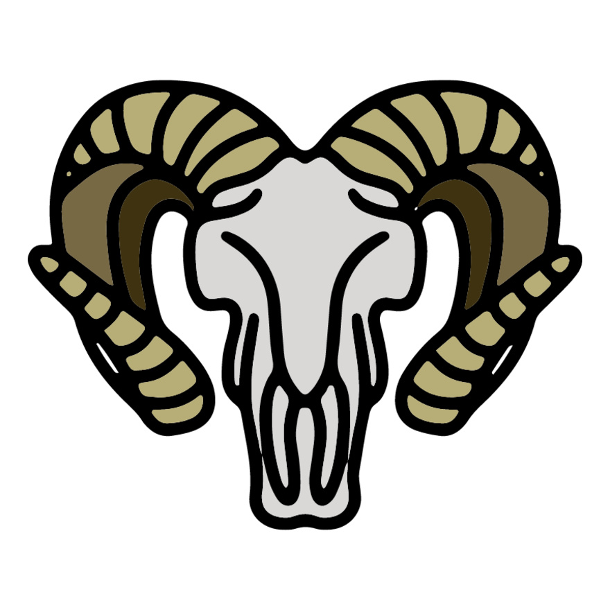 Bighorn Sheep Skull Thumbnail