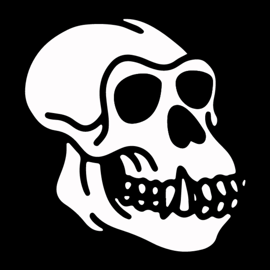 Homosapien Skull Thumbnail