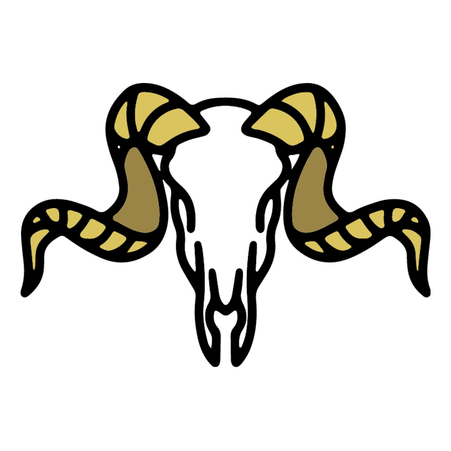 Longhorn Sheep Skulls Thumbnail