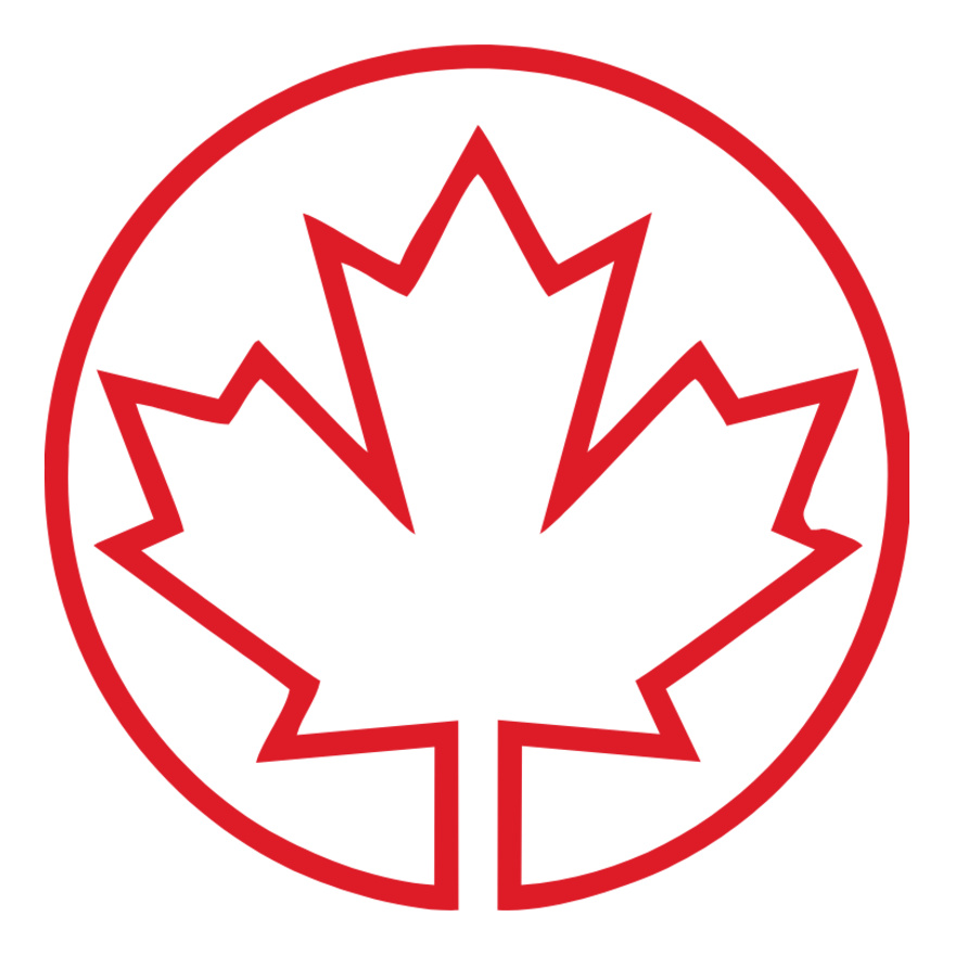 CA FLAG 03 Thumbnail