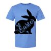  Men/Unisex Softstyle Lightweight T-Shirt Thumbnail