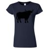 Softstyle Women’s Light Weight T-Shirt Thumbnail